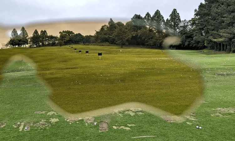 クリアに見える